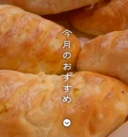 今月のおすすめ