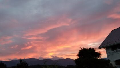 今日も雨・・・雨雨